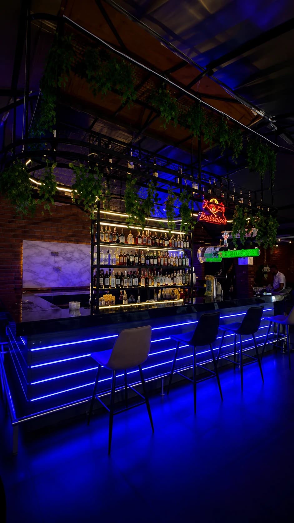 GreenLeaf bar interior with neon evening atmosphere